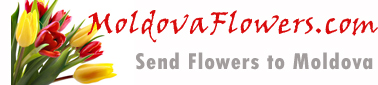 MoldovaFlowers.com - Send flowers to Moldova, Moldova florists online