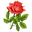 moldovaflowers.com-logo