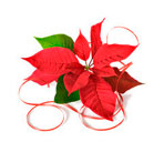 Send Christmas or New Year flowers or gifts to Moldova